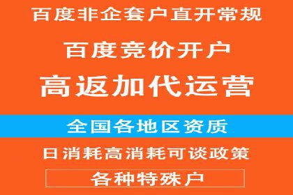 百度竞价SEM策略解析：某品牌广告成功的关键因素